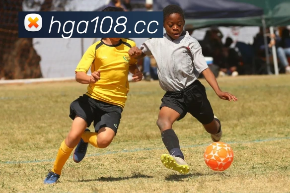 皇冠官网平台服务体系